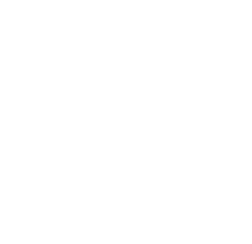Pyme Innovadora